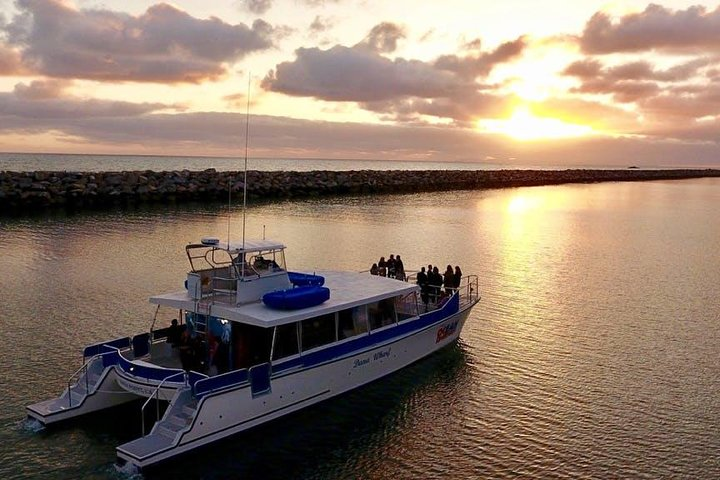 Luxury Catamaran Sunset and Wine Cruise from Dana Point - Photo 1 of 13